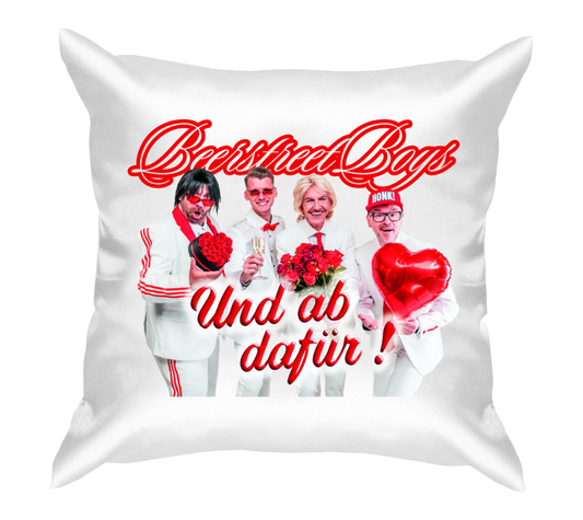 Beerstreet Boys – Sofakissen (40x40 cm)